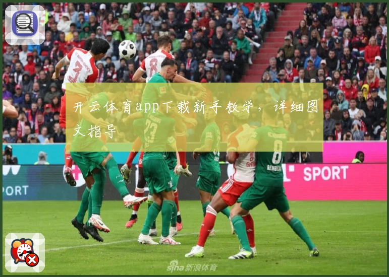 开云体育app下载新手教学，详细图文指导