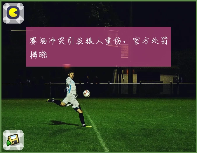 赛场冲突引发猿人重伤，官方处罚揭晓