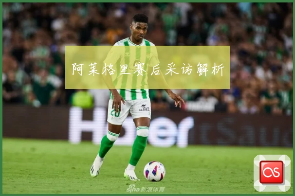 阿莱格里赛后采访解析