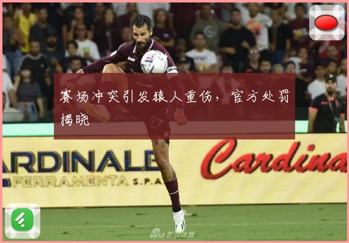 赛场冲突引发猿人重伤，官方处罚揭晓
