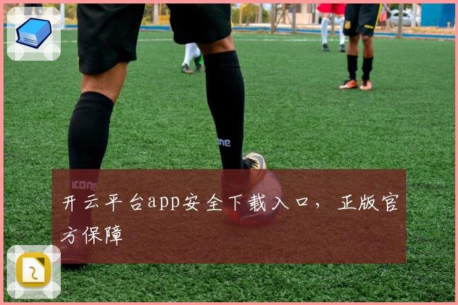 开云平台app安全下载入口，正版官方保障