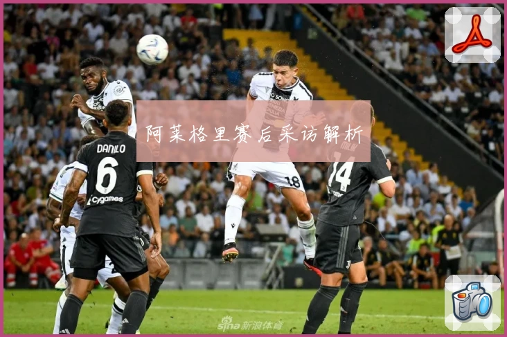 阿莱格里赛后采访解析