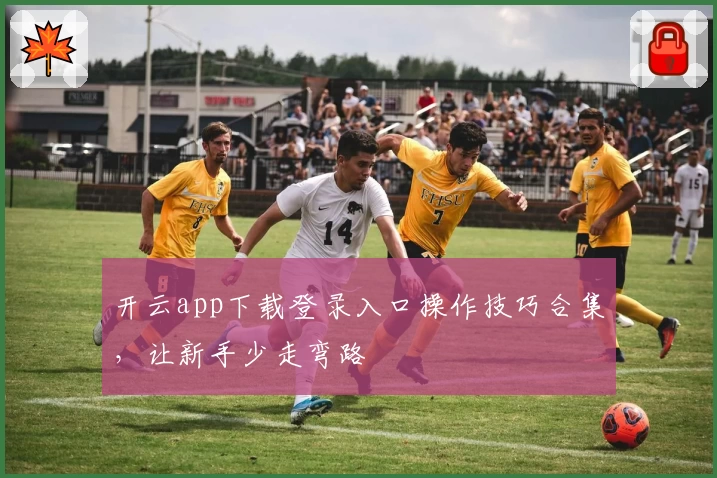 开云app下载登录入口操作技巧合集,让新手少走弯路